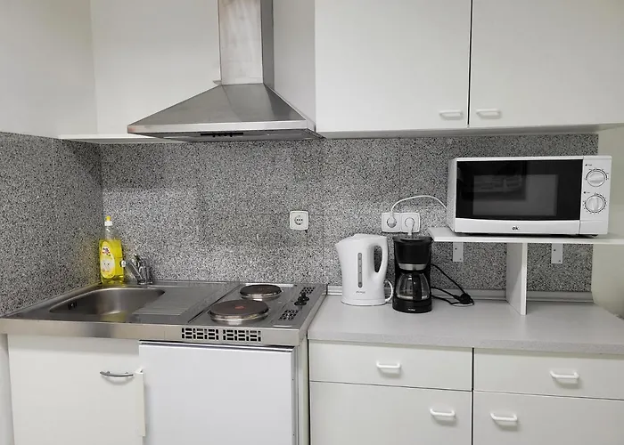 Budget Studio Near Prater